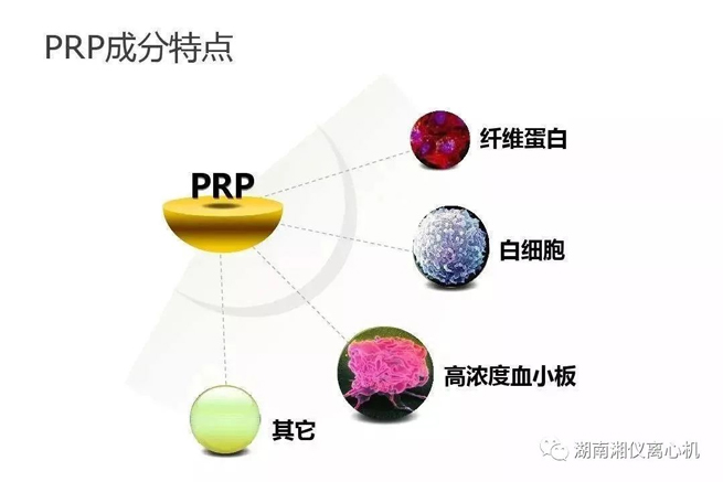 【Science Popularisation 】 PRP Sérum Autologue Beauté